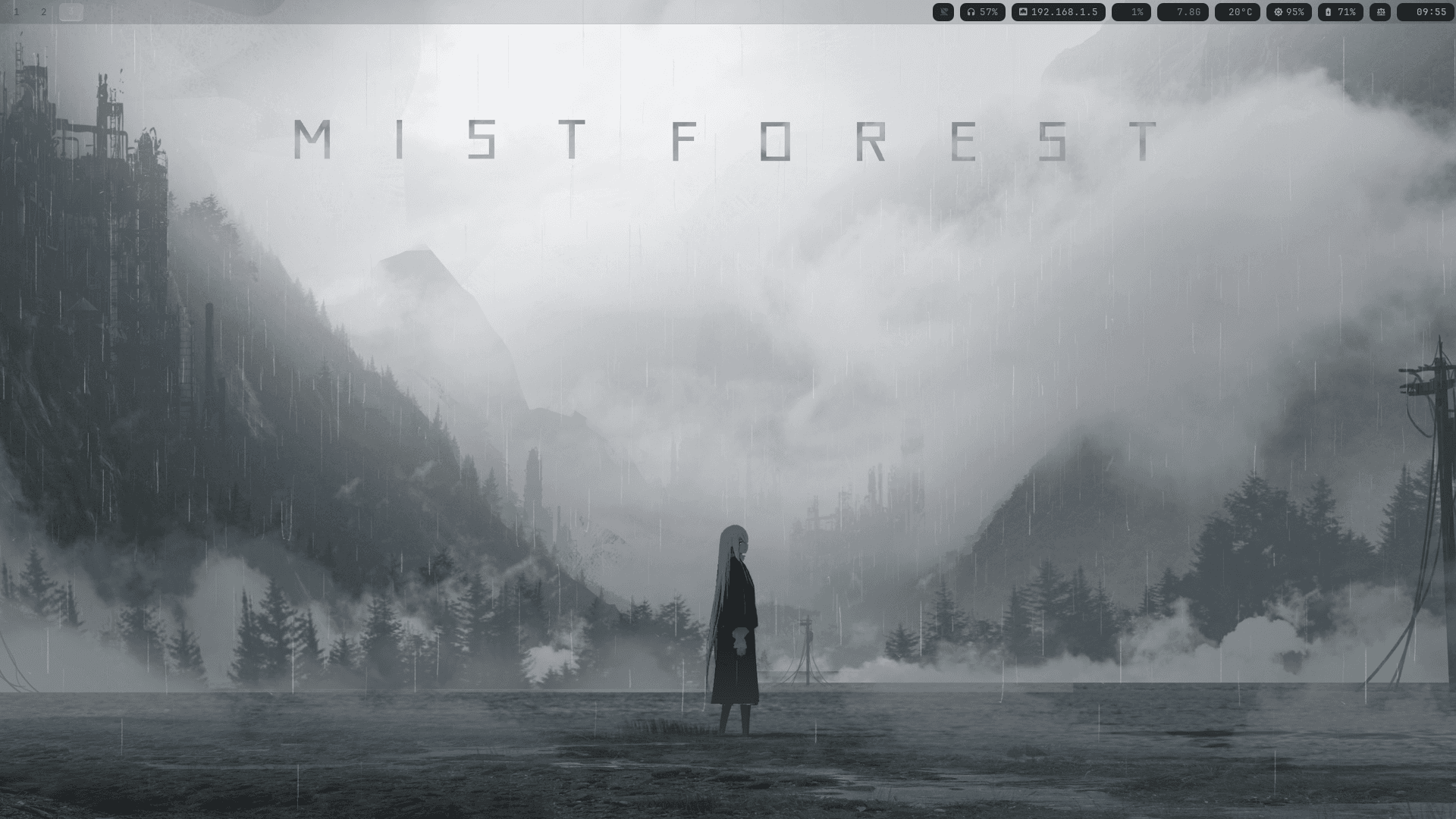 mist forest